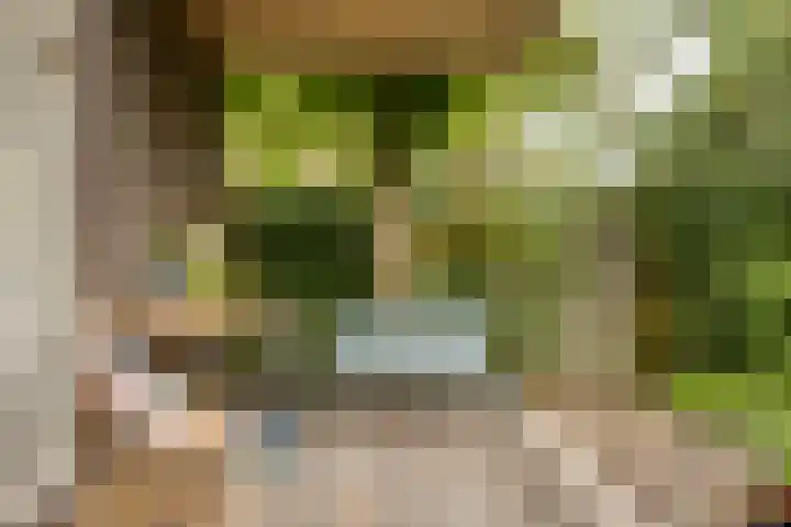 Zandkreek 1 Zwolle thumbnail 44