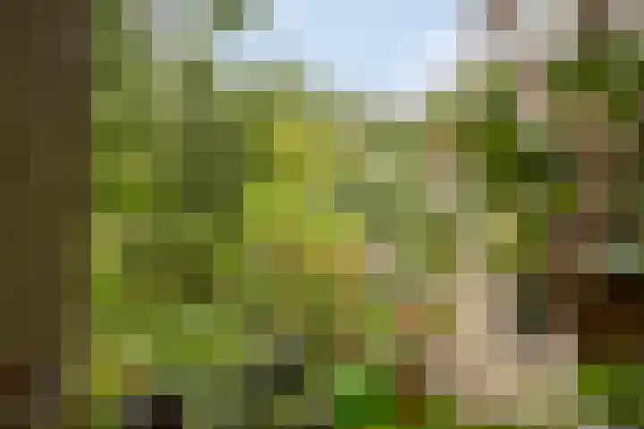 Zandkreek 1 Zwolle thumbnail 45