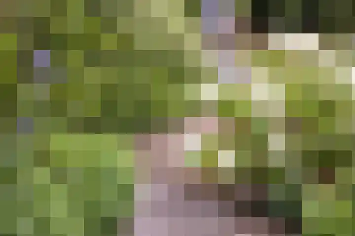 Zandkreek 1 Zwolle thumbnail 46