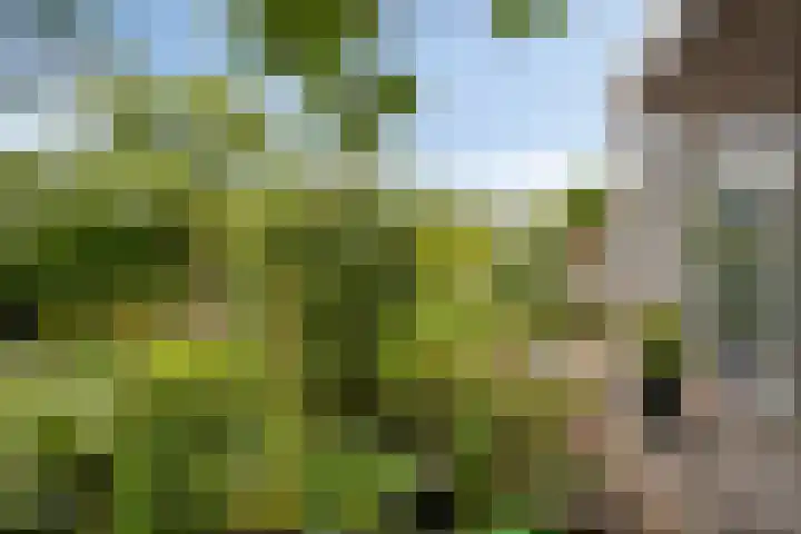 Zandkreek 1 Zwolle thumbnail 47