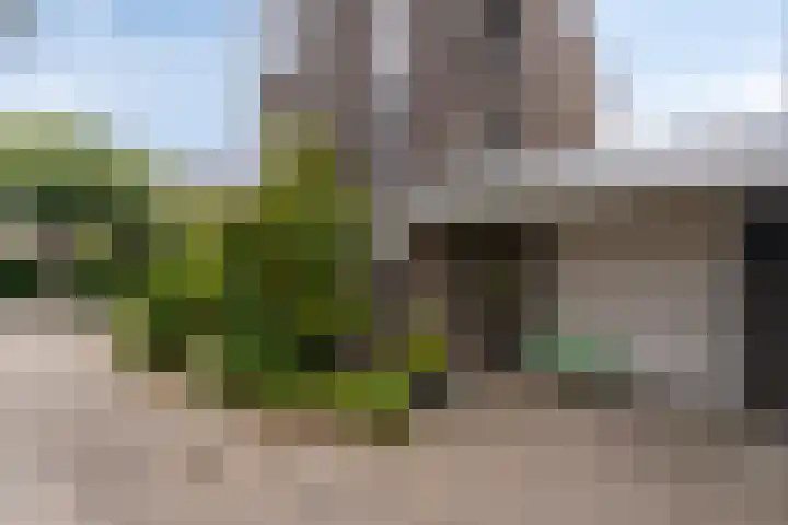 Zandkreek 1 Zwolle thumbnail 49