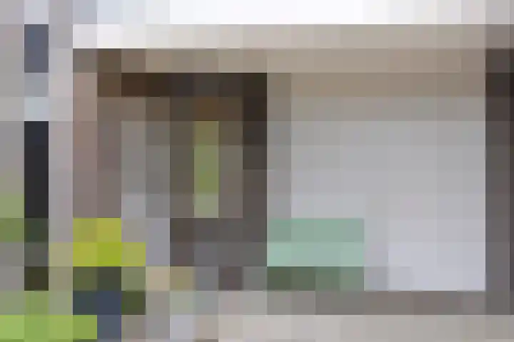 Zandkreek 1 Zwolle thumbnail 50