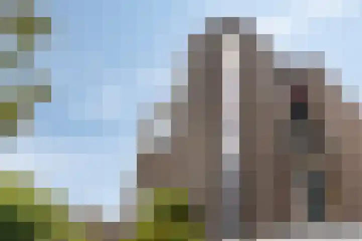 Zandkreek 1 Zwolle thumbnail 51