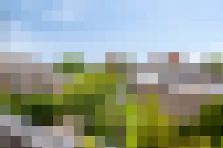 Zandkreek 1 Zwolle thumbnail 53