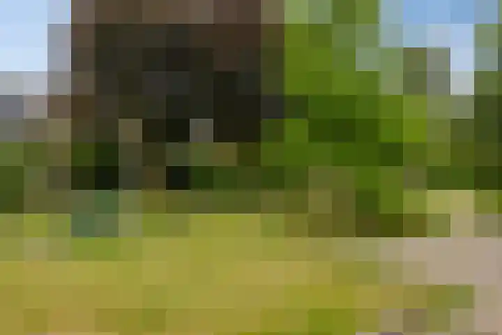 Zandkreek 1 Zwolle thumbnail 54