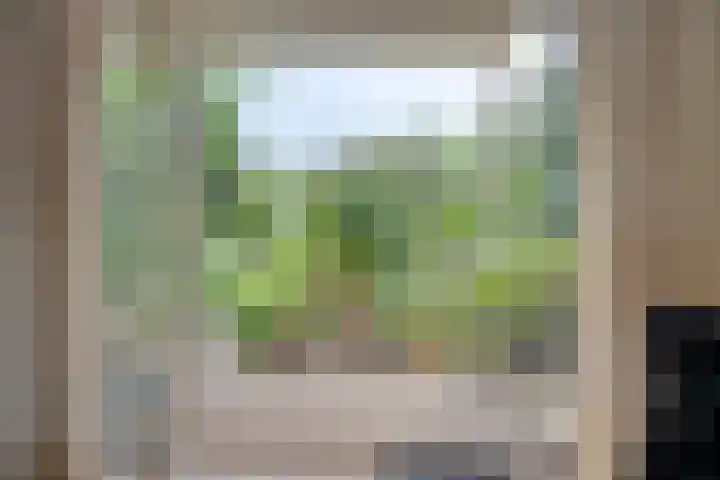 Zandkreek 1 Zwolle thumbnail 7