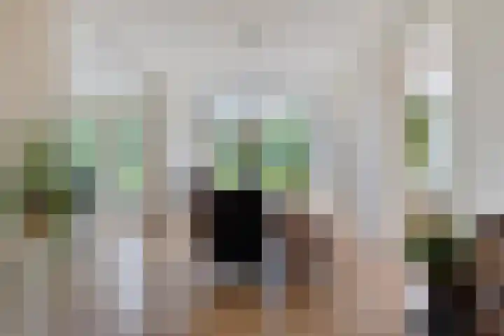 Zandkreek 1 Zwolle thumbnail 8