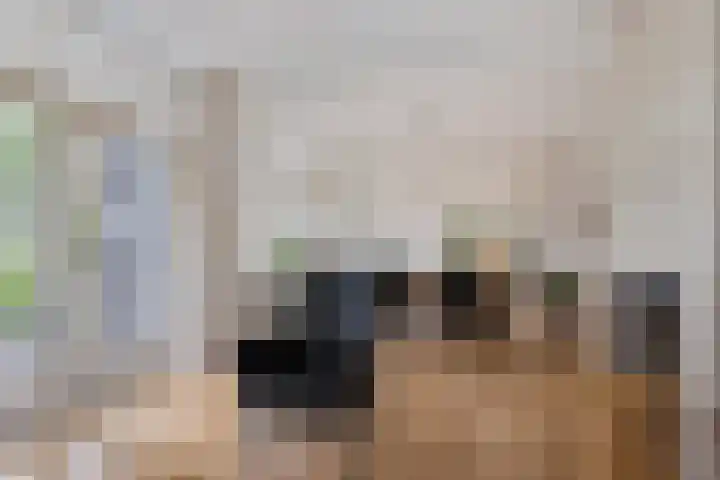 Zandkreek 1 Zwolle thumbnail 9
