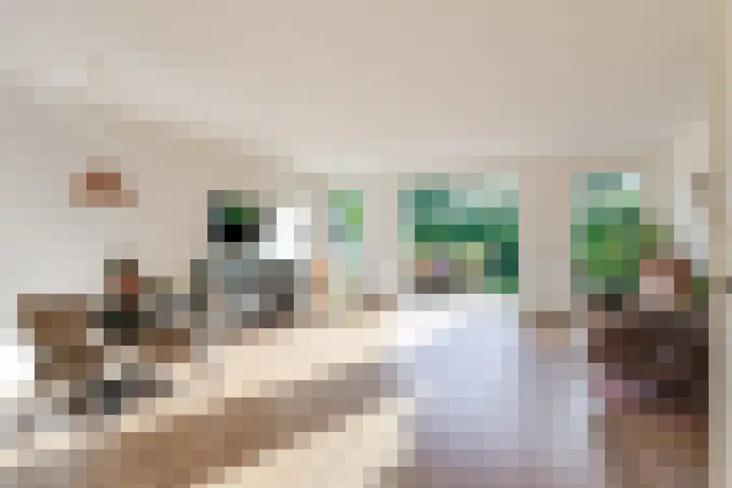 Zandkreek 10 Alkmaar thumbnail 14