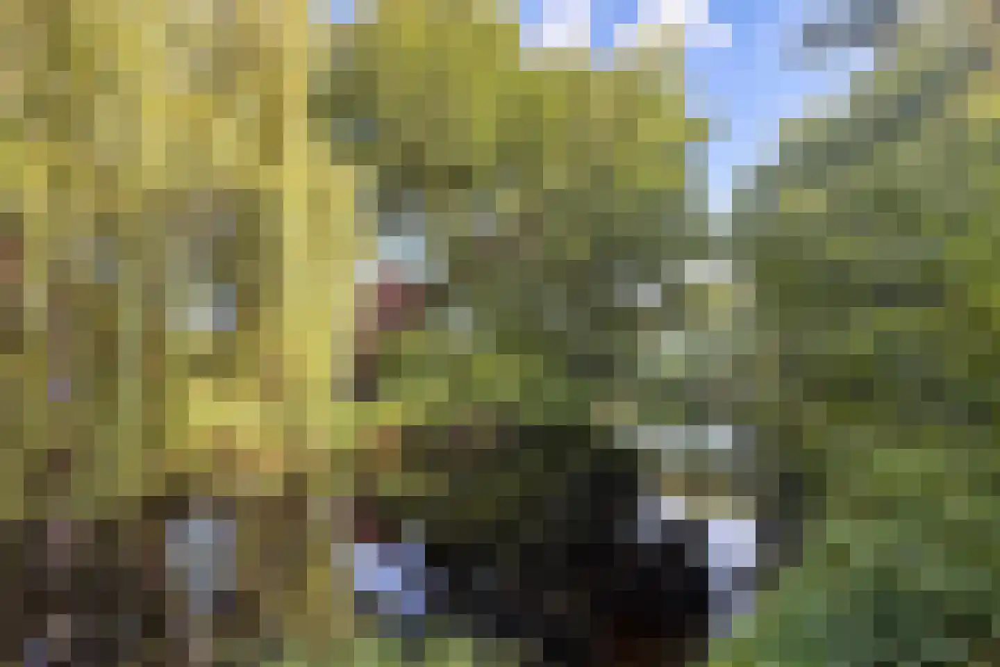 Zandkreek 10 Alkmaar thumbnail 43