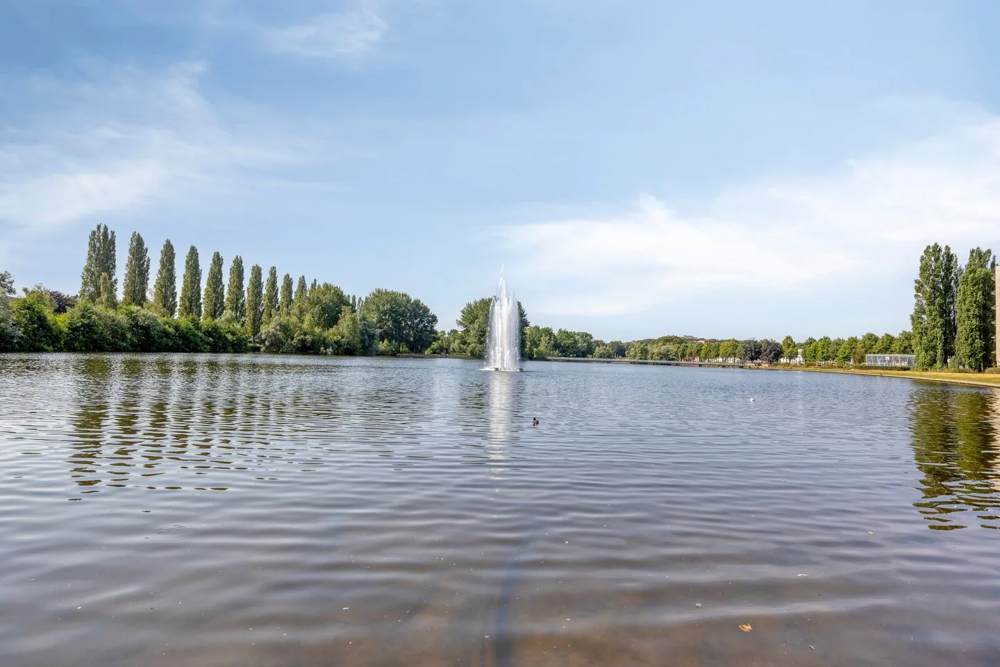 Zandkreek 10 Amersfoort thumbnail 45