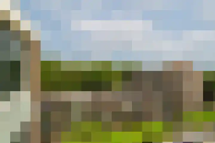 Zandkreek 102 Rotterdam thumbnail 14