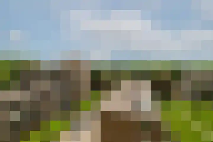 Zandkreek 102 Rotterdam thumbnail 15