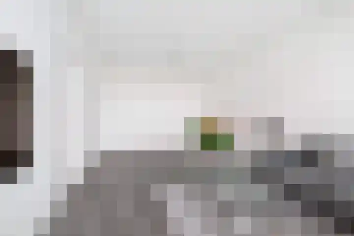 Zandkreek 102 Rotterdam thumbnail 17