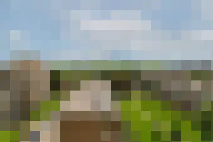 Zandkreek 102 Rotterdam thumbnail 27
