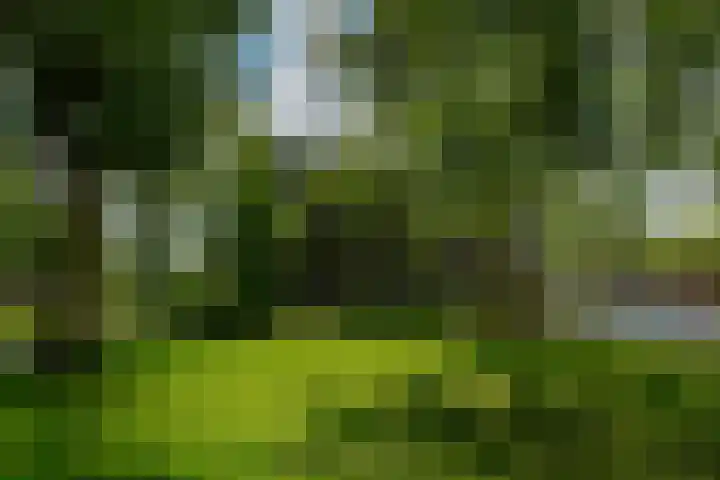 Zandkreek 102 Rotterdam thumbnail 29