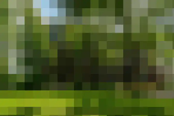 Zandkreek 102 Rotterdam thumbnail 30