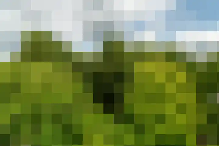 Zandkreek 102 Rotterdam thumbnail 31