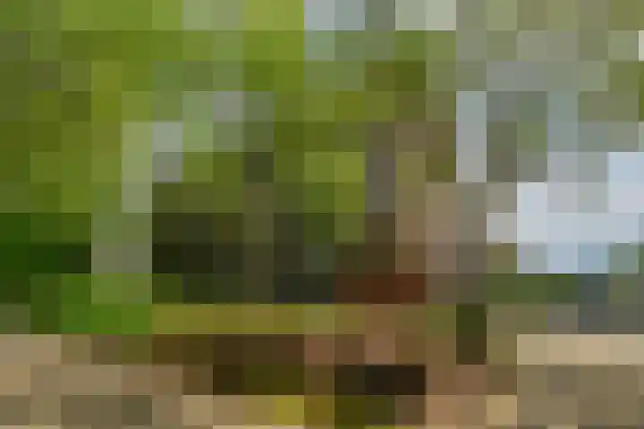 Zandkreek 102 Rotterdam thumbnail 32