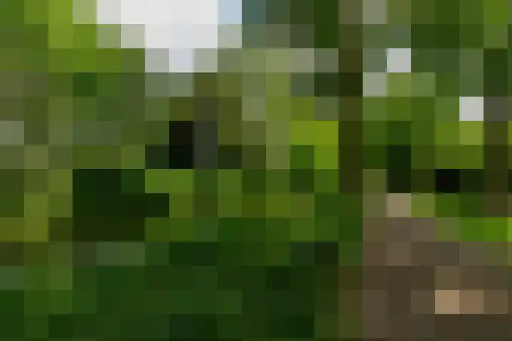 Zandkreek 102 Rotterdam thumbnail 33