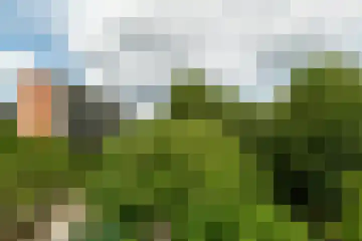 Zandkreek 102 Rotterdam thumbnail 34