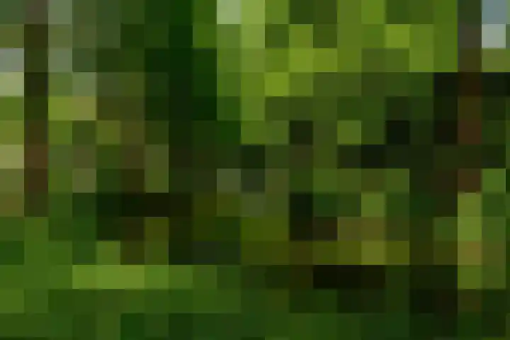 Zandkreek 102 Rotterdam thumbnail 35