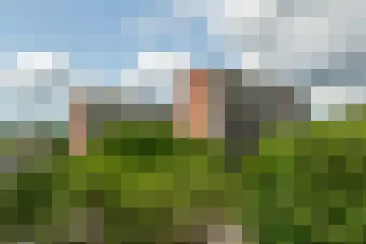 Zandkreek 102 Rotterdam thumbnail 4