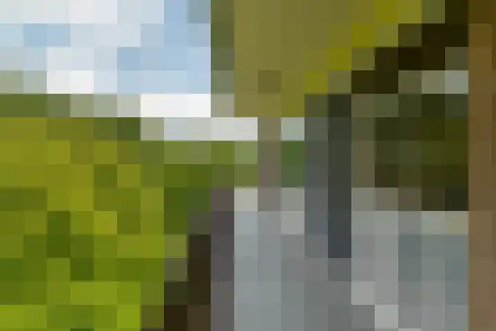 Zandkreek 102 Rotterdam thumbnail 5