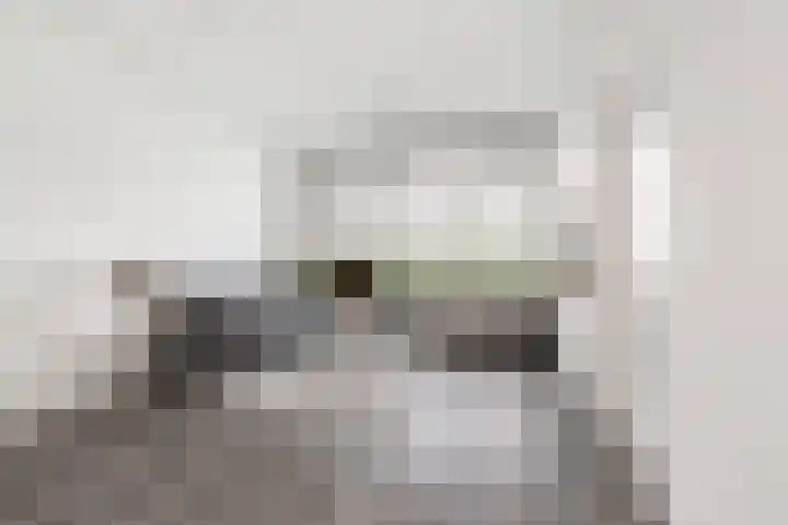 Zandkreek 102 Rotterdam thumbnail 8