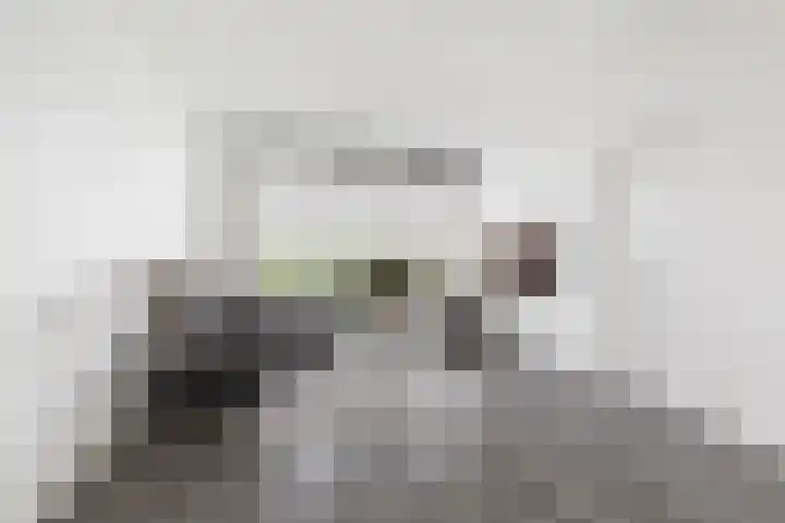 Zandkreek 102 Rotterdam thumbnail 9