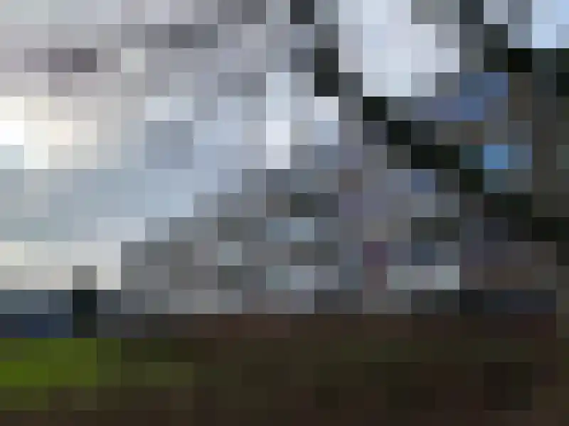 Zandkreek 112 Rotterdam thumbnail 13