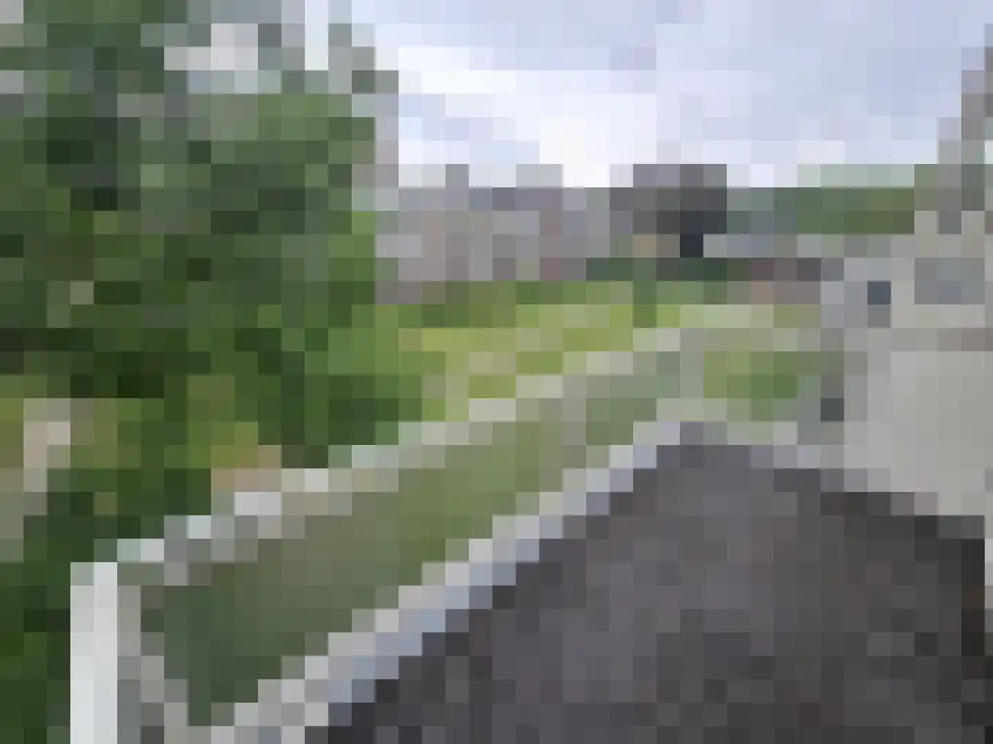 Zandkreek 112 Rotterdam thumbnail 9