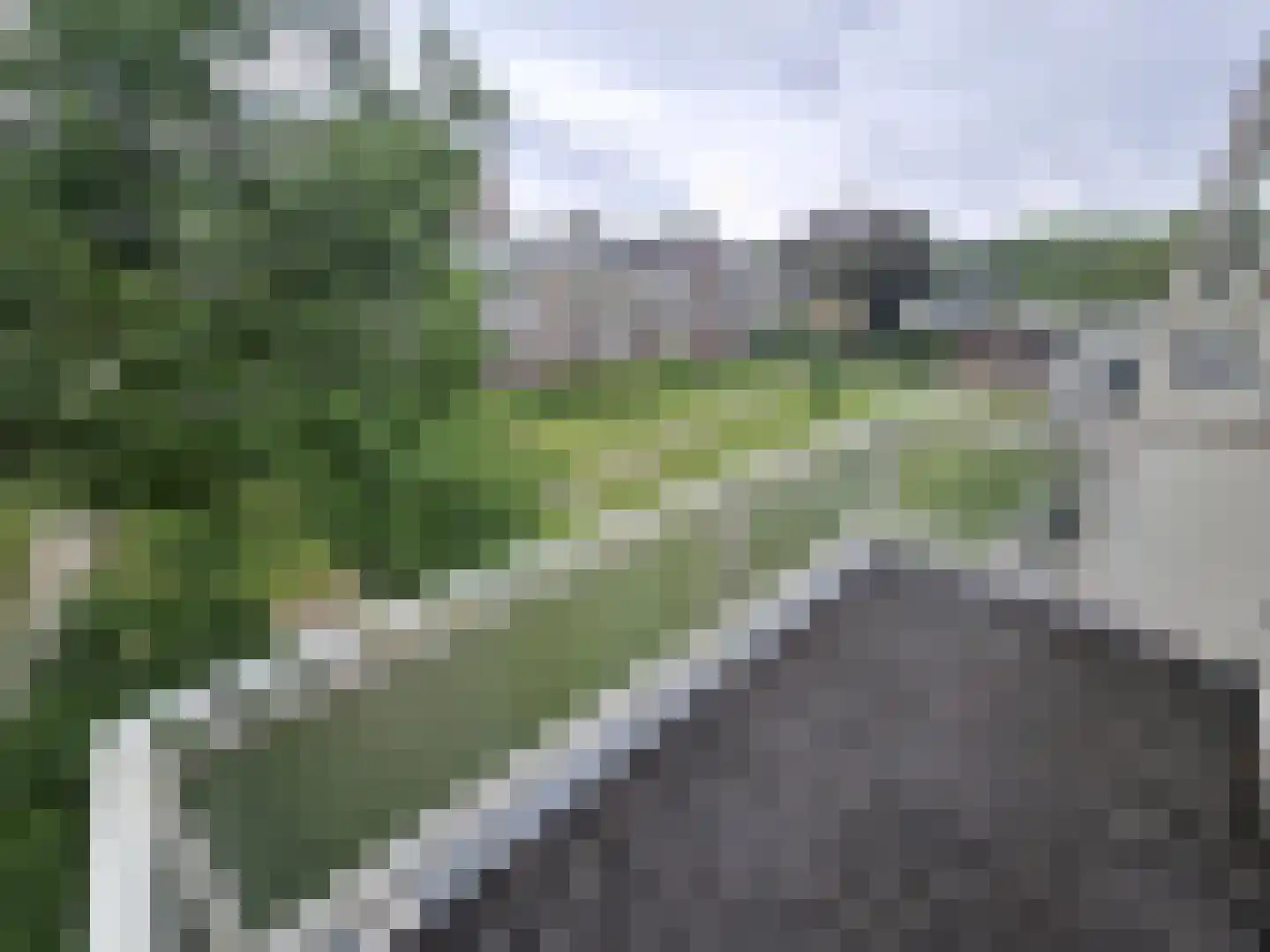 Zandkreek 112 Rotterdam thumbnail 9