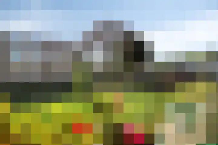 Zandkreek 126 Rotterdam thumbnail 15