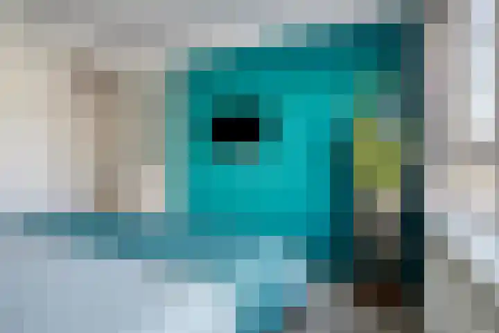Zandkreek 126 Rotterdam thumbnail 17