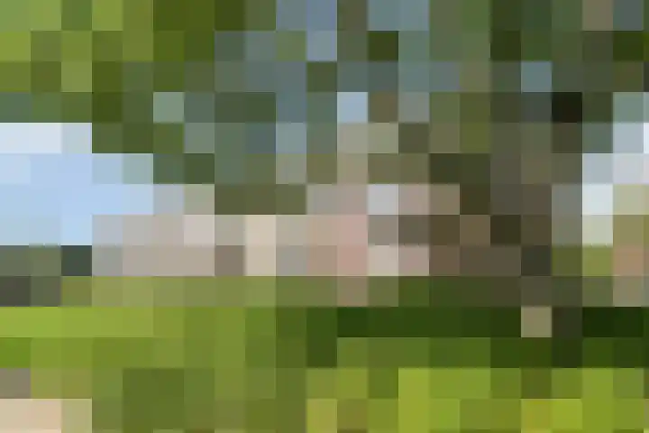 Zandkreek 126 Rotterdam thumbnail 27