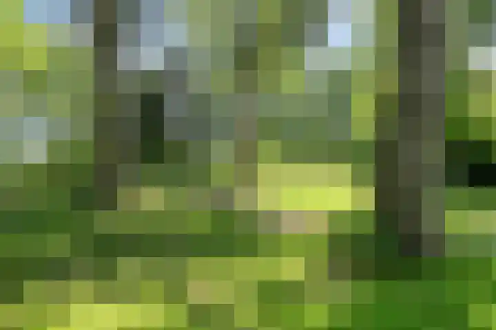 Zandkreek 126 Rotterdam thumbnail 32