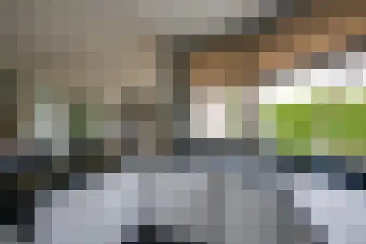 Zandkreek 14 Willemstad thumbnail 15