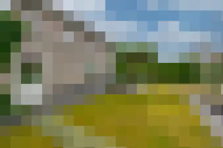 Zandkreek 14 Willemstad thumbnail 46