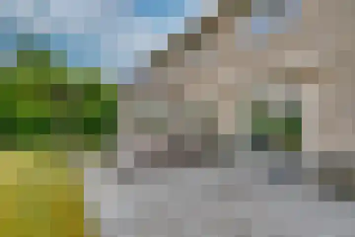 Zandkreek 14 Willemstad thumbnail 47