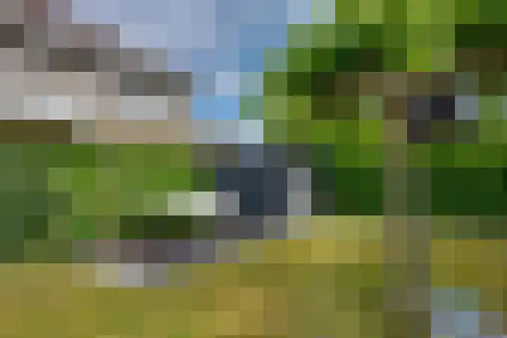 Zandkreek 14 Willemstad thumbnail 48