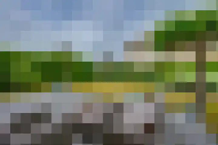 Zandkreek 14 Willemstad thumbnail 49