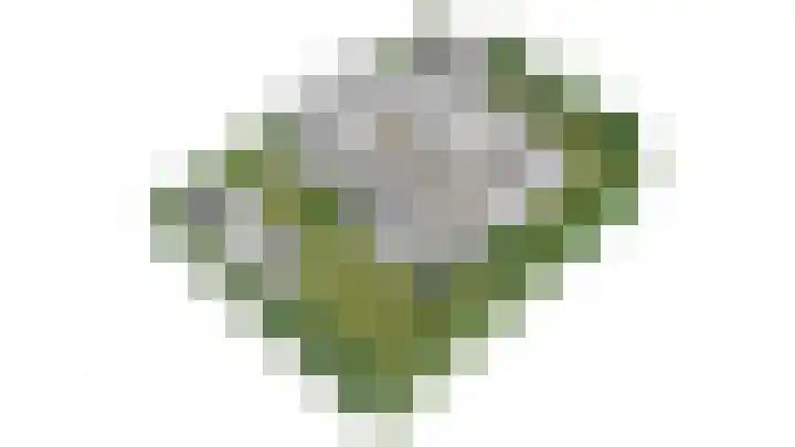 Zandkreek 14 Willemstad thumbnail 66