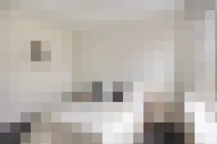 Zandkreek 144 Rotterdam thumbnail 15