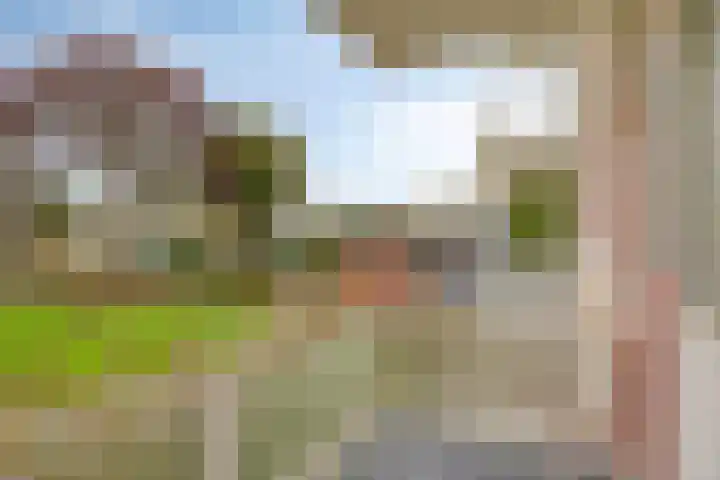 Zandkreek 144 Rotterdam thumbnail 20