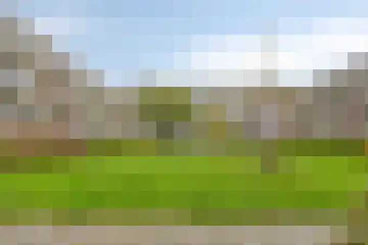 Zandkreek 144 Rotterdam thumbnail 21