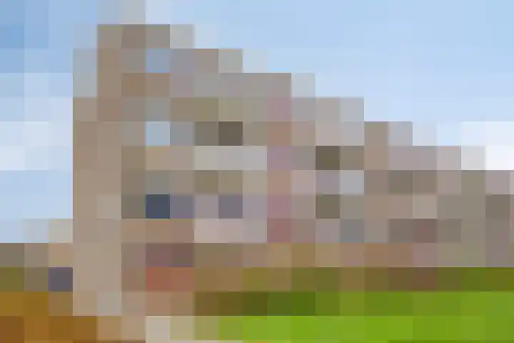 Zandkreek 144 Rotterdam thumbnail 22