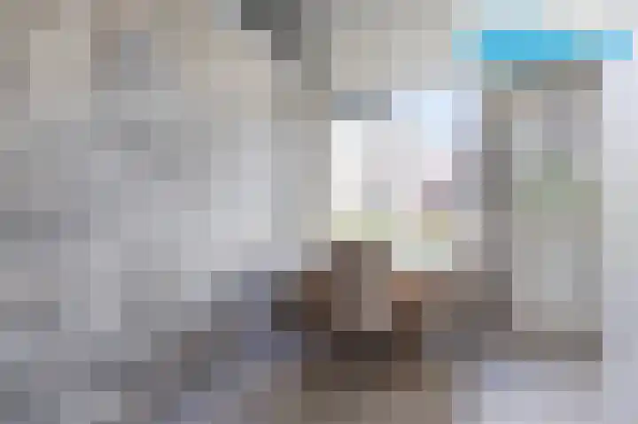 Zandkreek 150 Rotterdam thumbnail 8