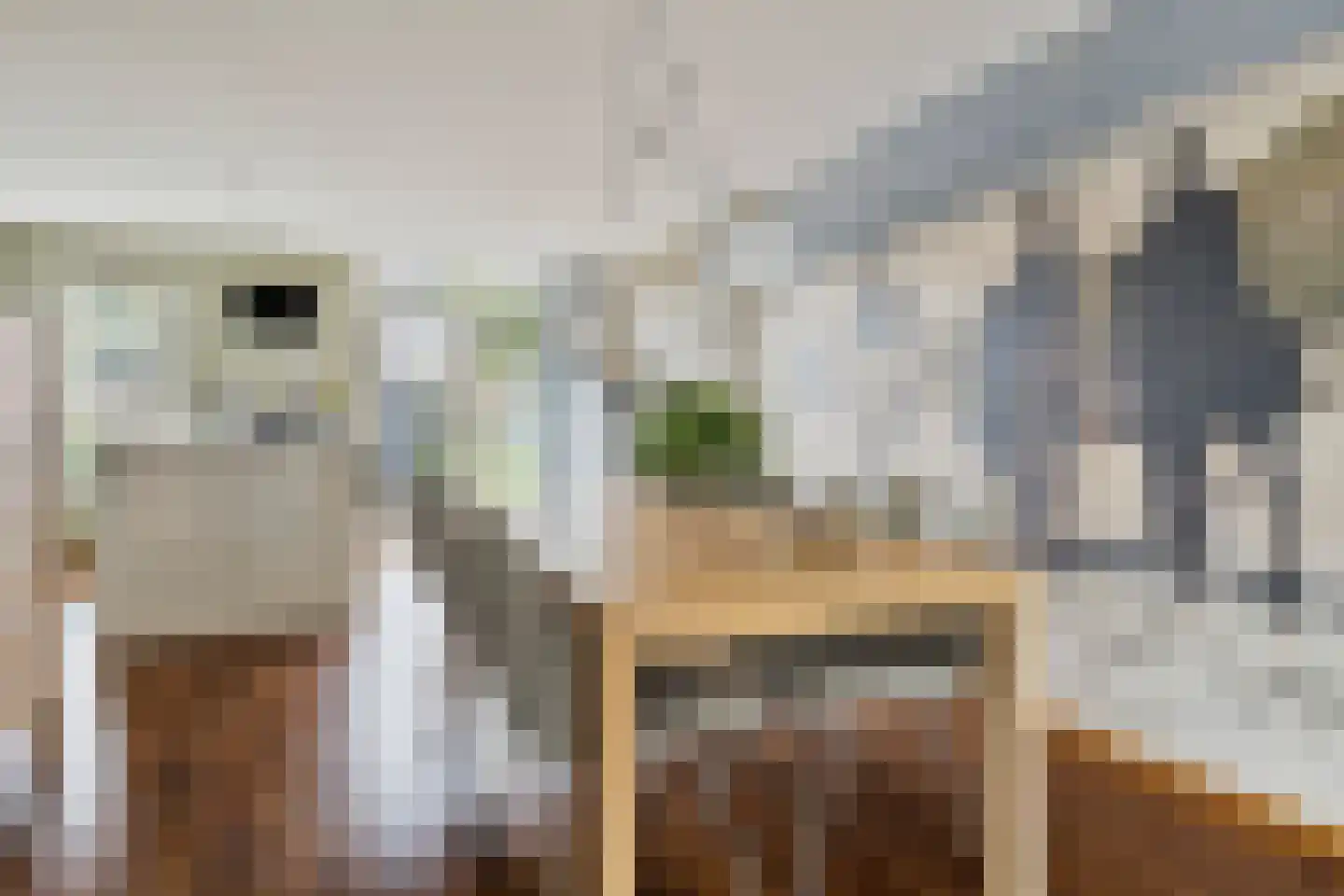 Zandkreek 2 Terneuzen thumbnail 17