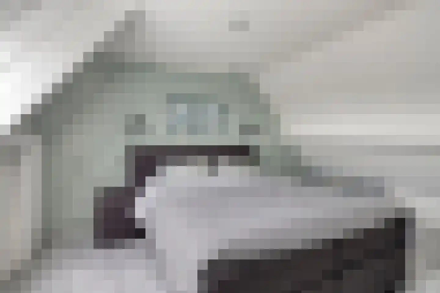 Zandkreek 2 Terneuzen thumbnail 41